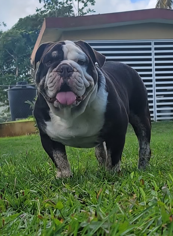 Photo of Thanos