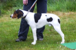 Photo of Rapp N13657/06