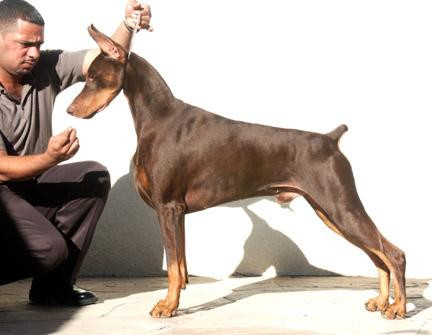 Ayollar külot bilan porno