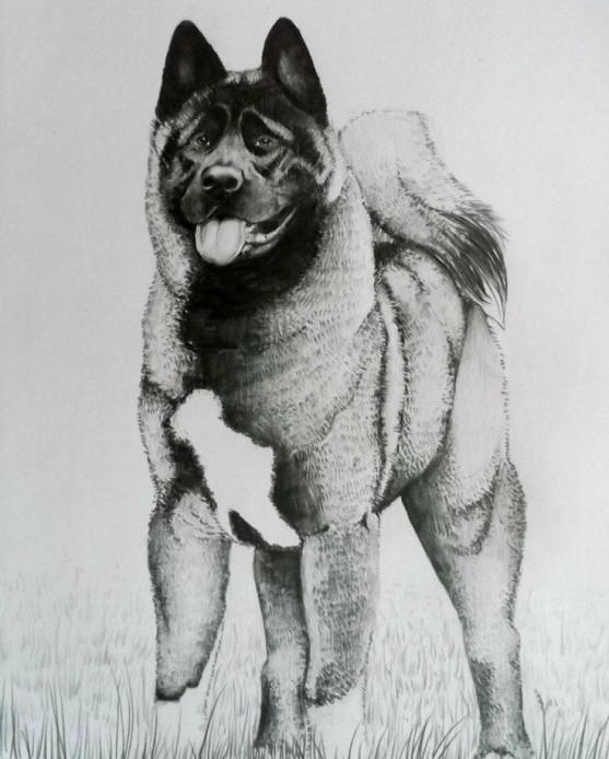 Photo of Alquin the Ring Master