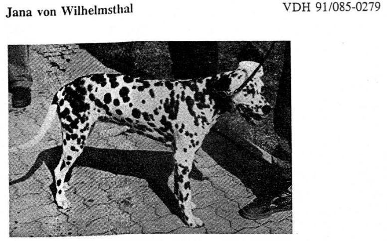 Photo of Jana v. WIlhelmsthal