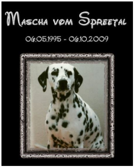 Photo of Mascha v. Spreetal