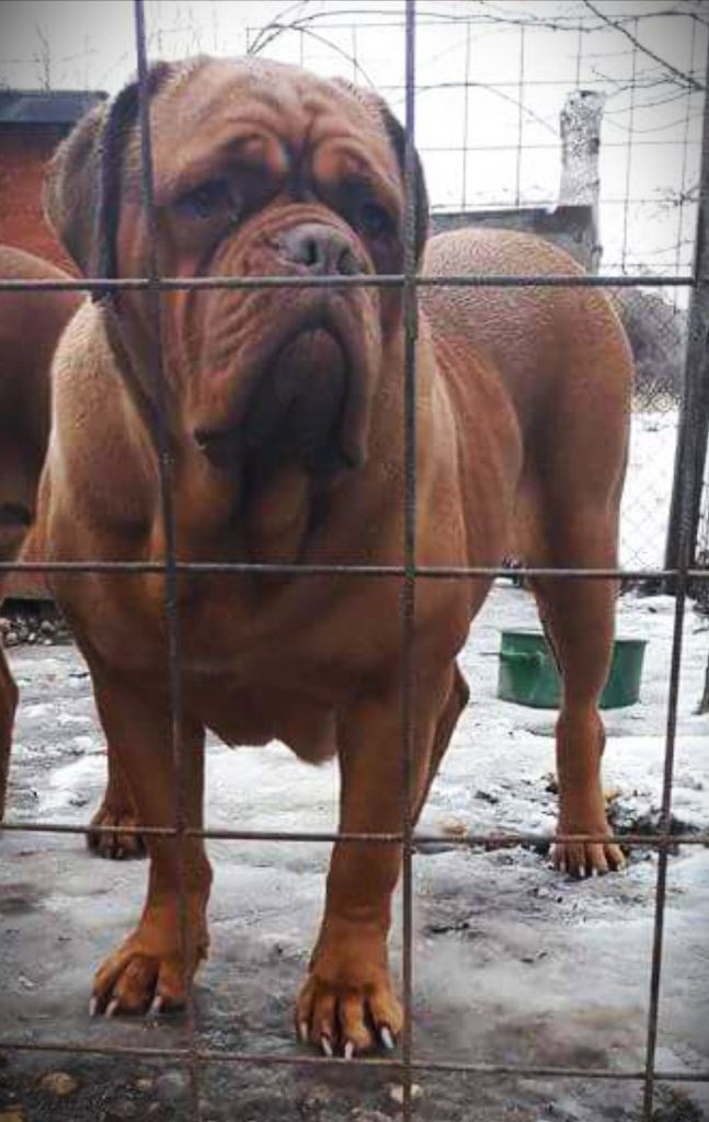 Photo of Roxy