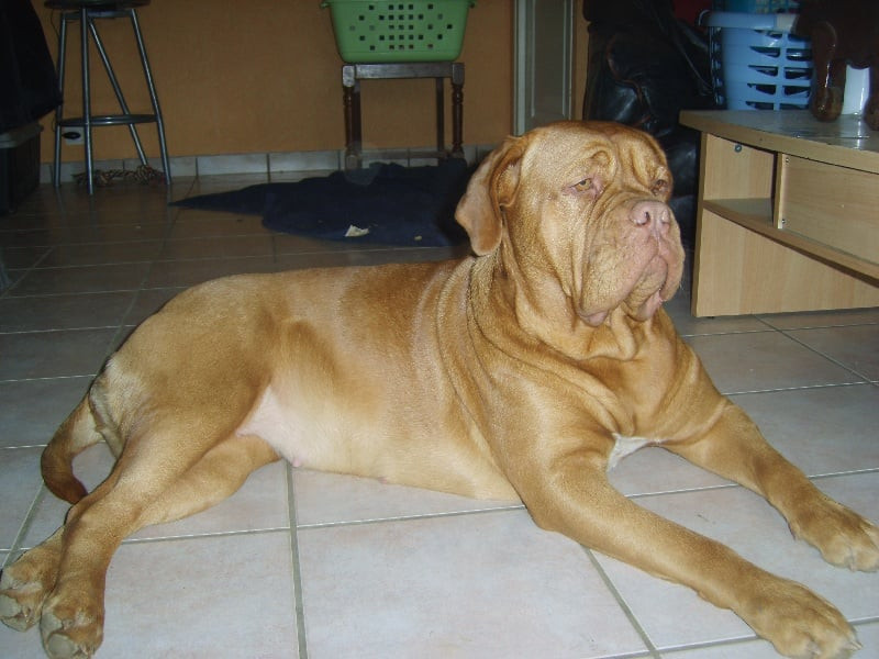 Photo of Atalante