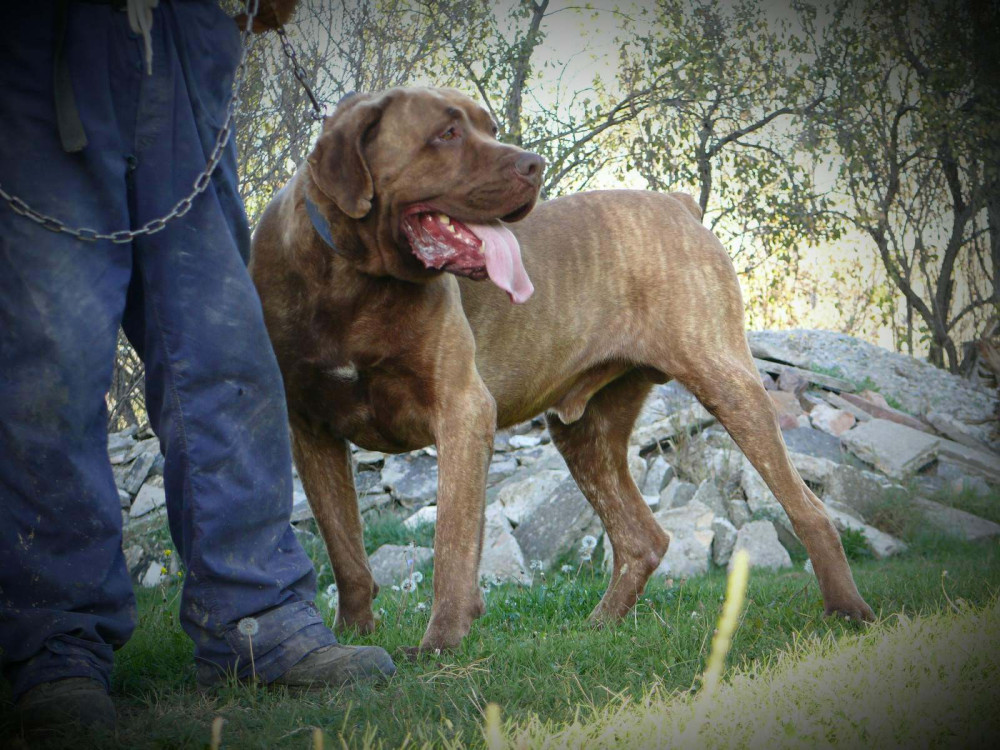 Photo of O.C.D. Ratimir