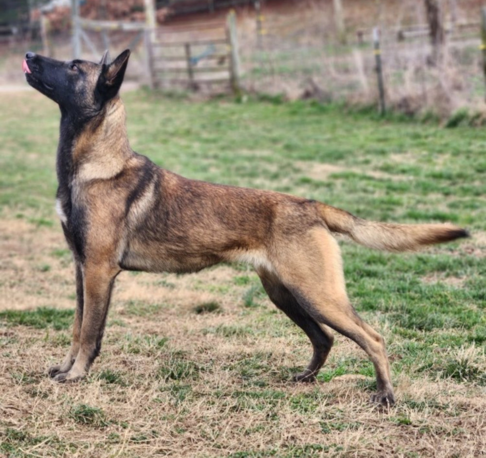 Photo of Star de Para Siempre