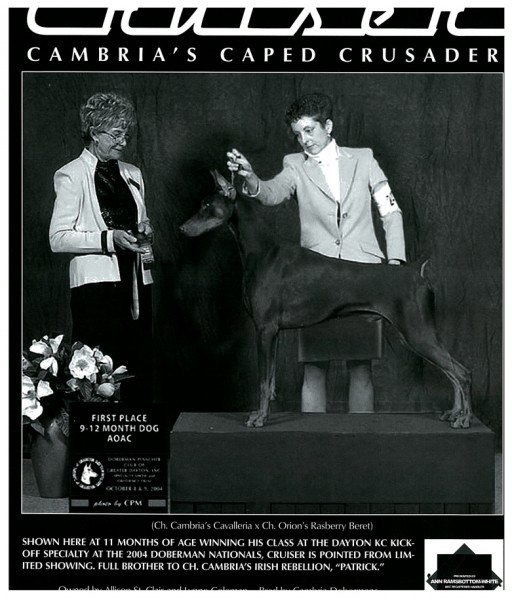 Photo of Cambria's Caped Crusader