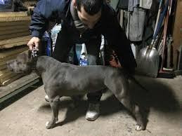 Photo of Dre's Saria