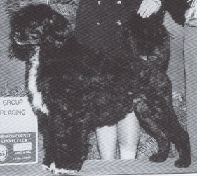 Photo of Valkyrie Dr. Watson Is Here