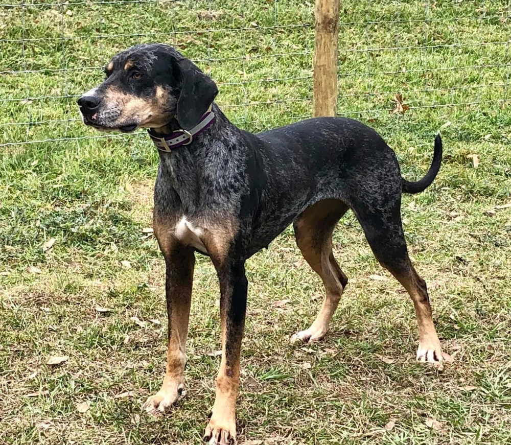 Photo of Cross Check's Margaret