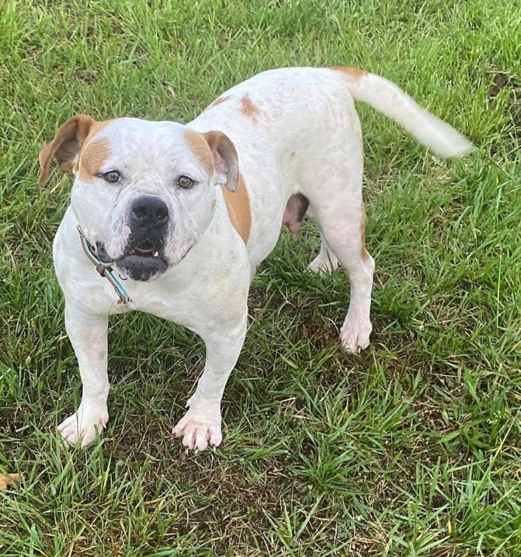 Photo of Tatum’s Luna