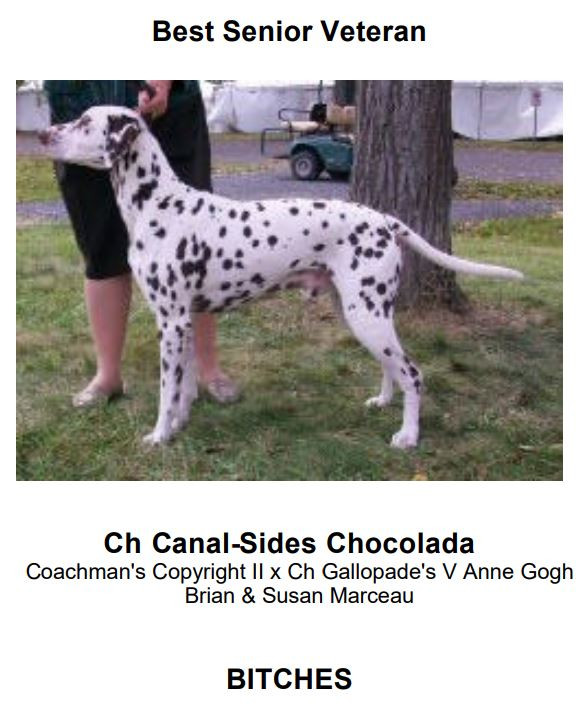 Photo of Canal-Sides Chocolada