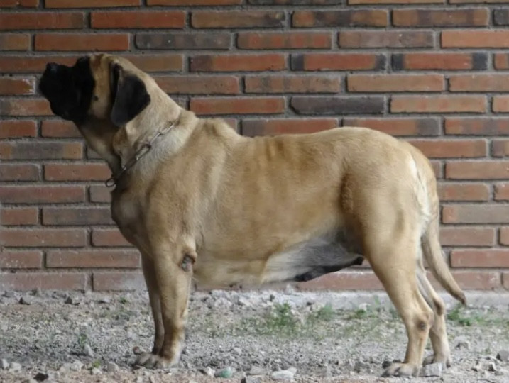Photo of La Chule Ordóñez