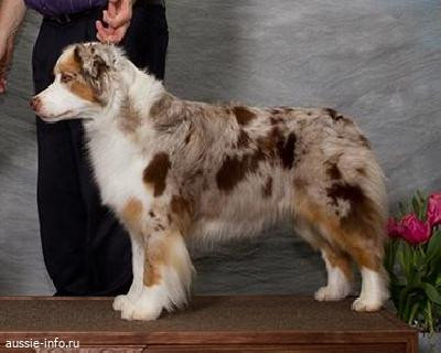 Photo of Hearthside Absolutely Shameless