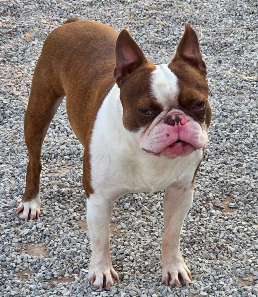Photo of Hercules Legend of the Valley