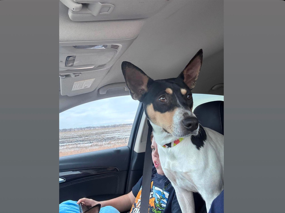 Photo of Truax’s Joy