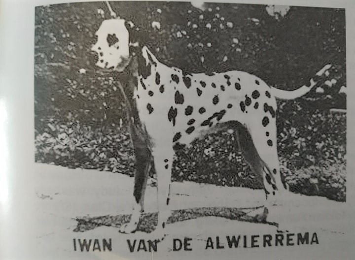 Photo of Ivan v.d. Alwierrema