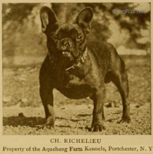 Photo of Richelieu