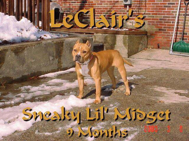Photo of LE CLAIR'S Sneaky Lil Bitch