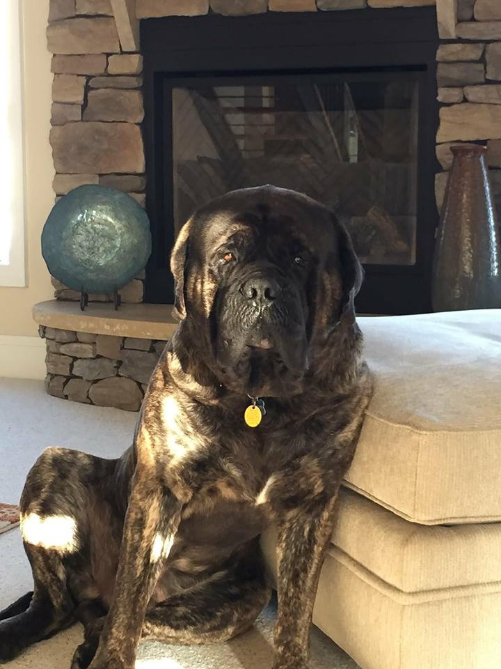 Photo of Glacier's Murphy