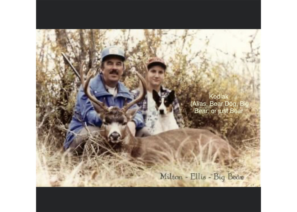 Photo of Decker's Kodiak