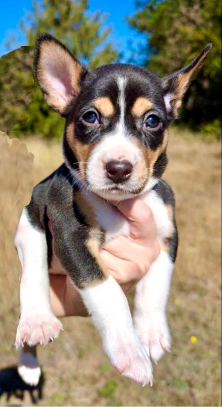 Photo of New Boy