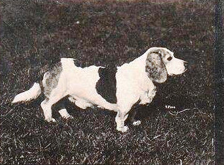 Photo of Zero