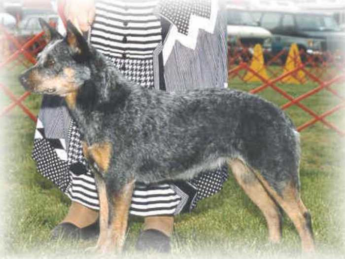 Photo of Bryn Mawr's Sheeza Babe