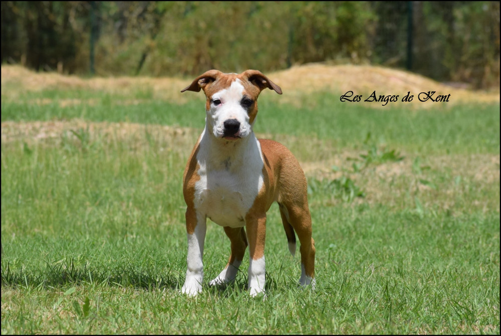 Photo of Violette Keep The Best