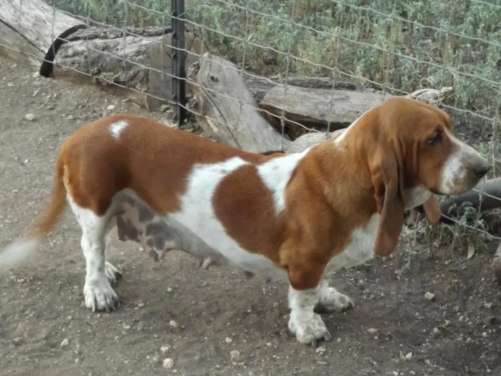 Photo of Kacie Jane
