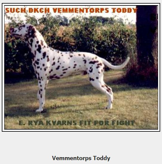 Photo of Vemmentorps Toddy