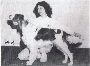 Photo of Chardine Shot