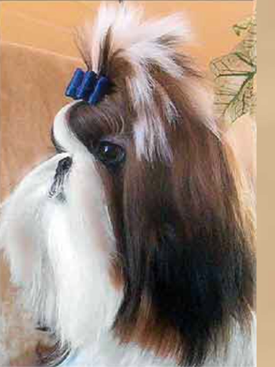 Photo of Karyon Really Cool