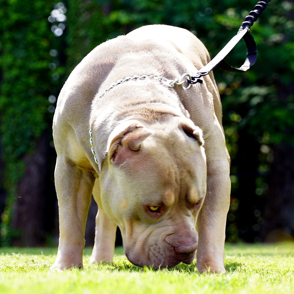 Photo of MBK’s Nikita