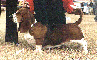 Photo of Bay-Manors First Lady