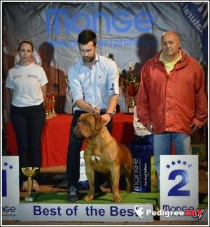 Photo of Force De Legend