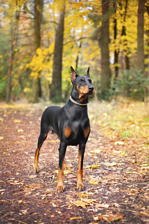 Photo of Heilige Schnike