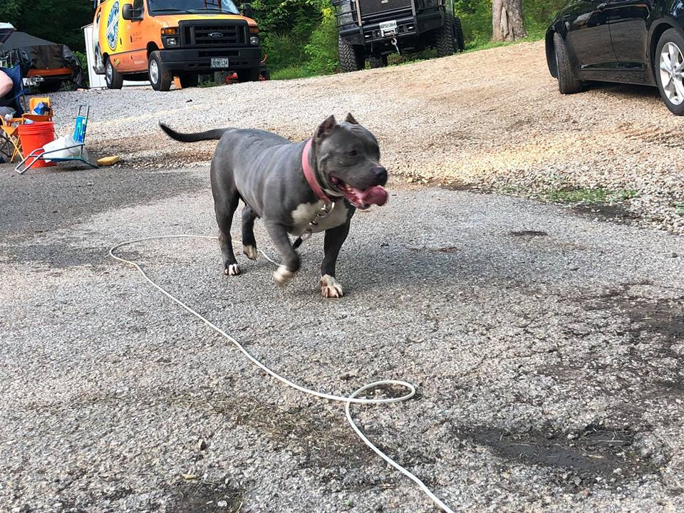 Photo of FB'S PENELOPE