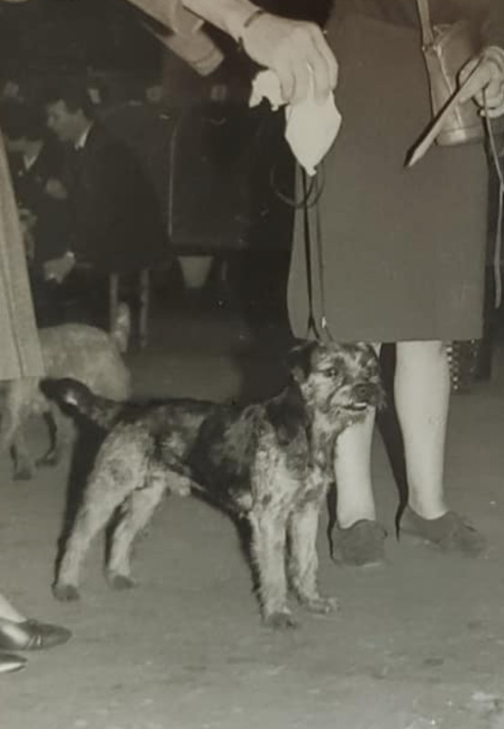 Photo of Wharfholme Wizardy