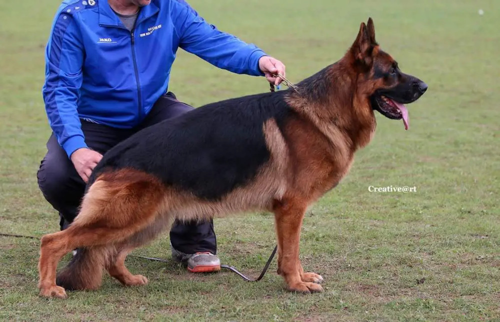 Photo of Ares Grunemont