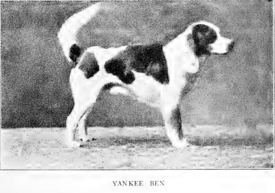 Photo of Yankee Ben
