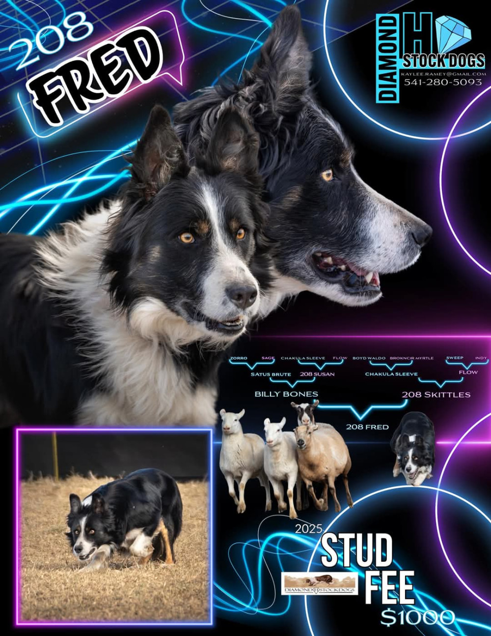 Photo of 208 FRED ABC 494678