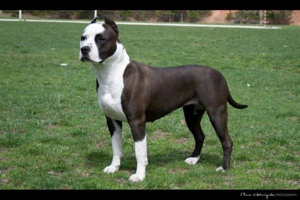 Photo of Givenchy - lusi