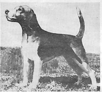Photo of C S Nancy