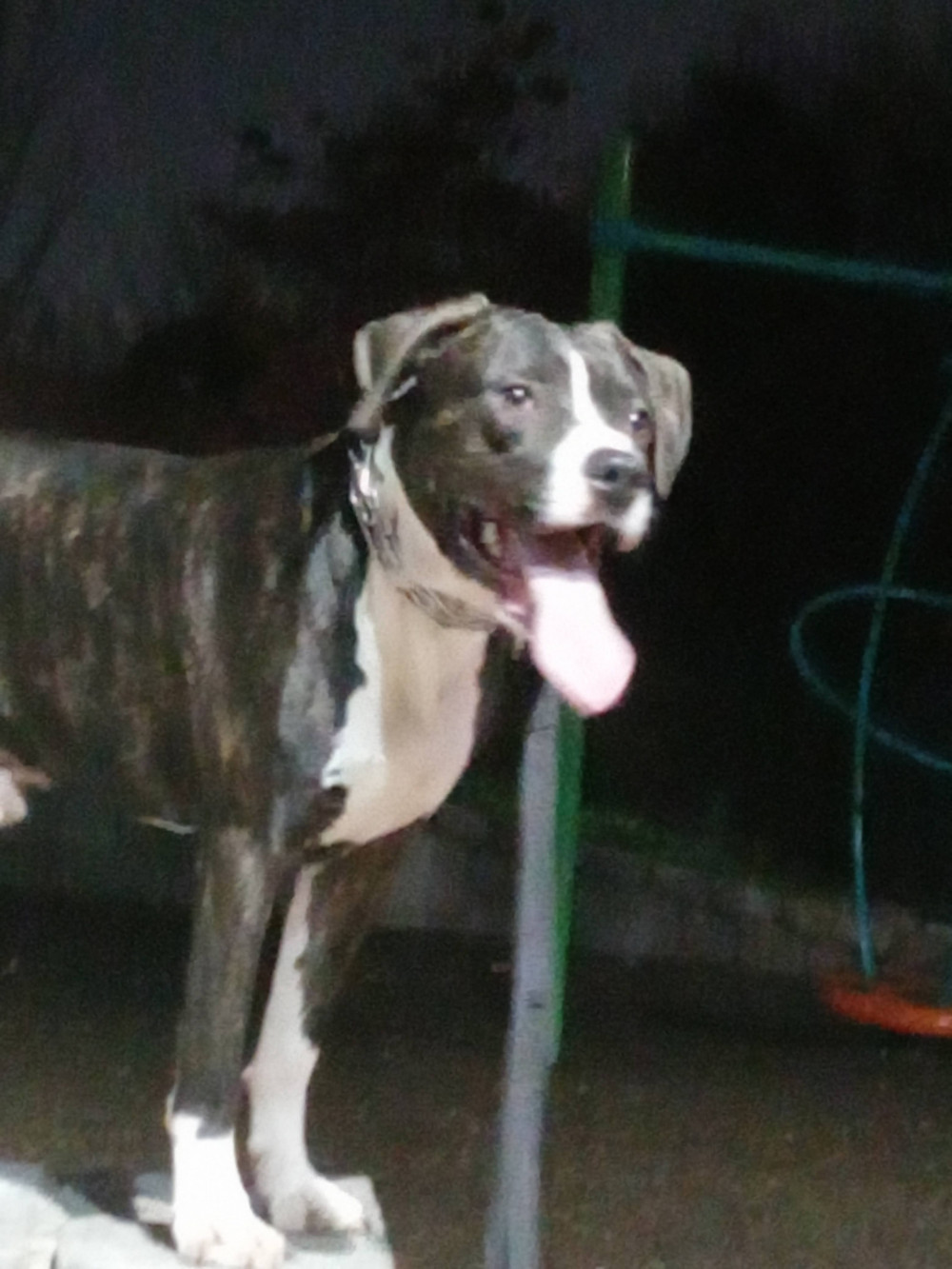 Photo of MKC Zeus