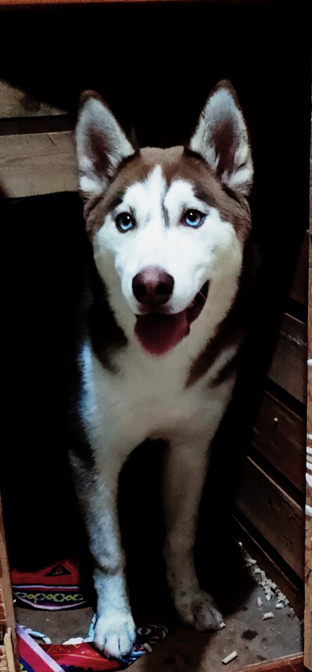 Photo of Hira