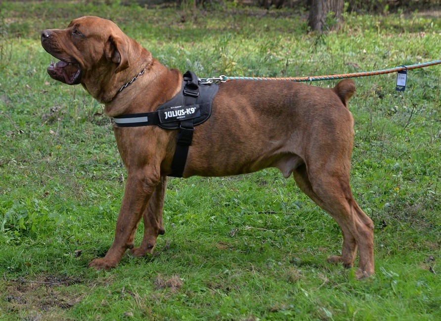 Photo of O.C.D. Kiki